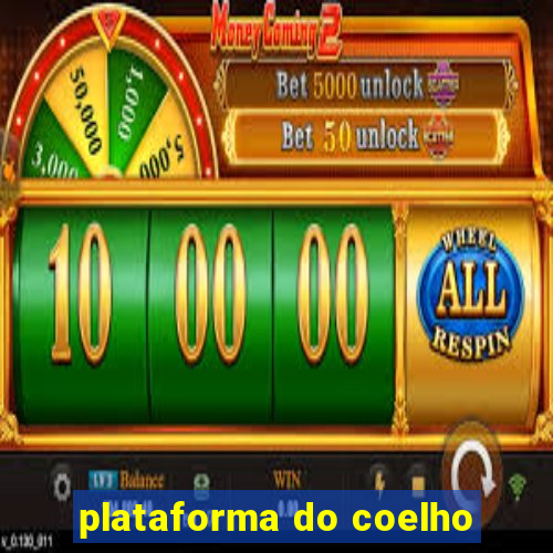 plataforma do coelho