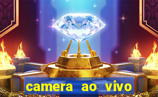 camera ao vivo beto carrero