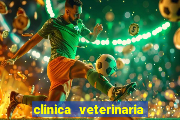 clinica veterinaria cuidar betim