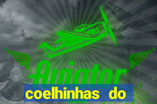 coelhinhas do brasil acompanhantes