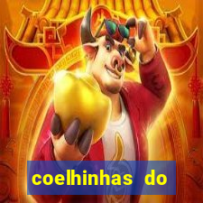 coelhinhas do brasil acompanhantes