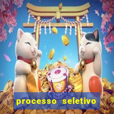 processo seletivo cerejeiras 2024