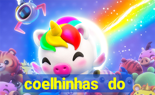 coelhinhas do brasil recife