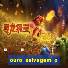 ouro selvagem o que aconteceu na vida