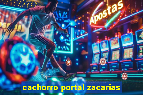 cachorro portal zacarias