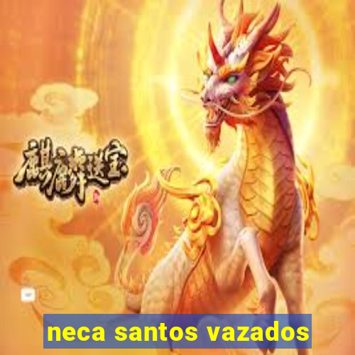 neca santos vazados