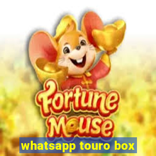 whatsapp touro box