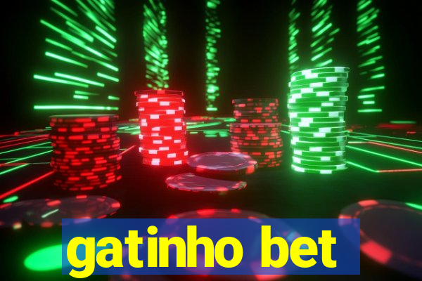 gatinho bet