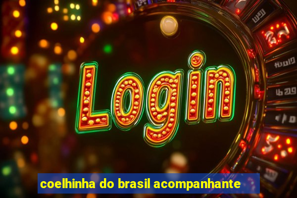 coelhinha do brasil acompanhante