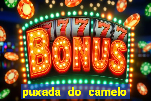 puxada do camelo no jogo do bicho