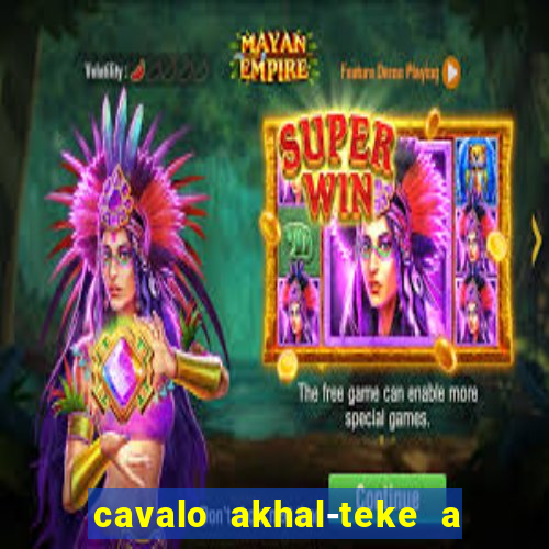 cavalo akhal-teke a venda no brasil cavalo akhal teke no