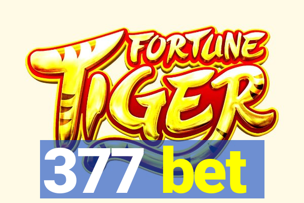 377 bet