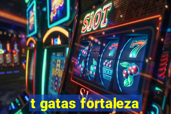 t gatas fortaleza