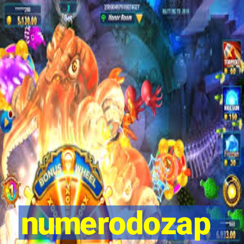 numerodozap