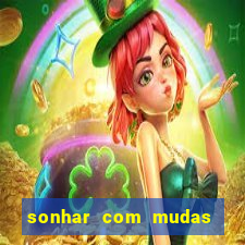 sonhar com mudas de plantas