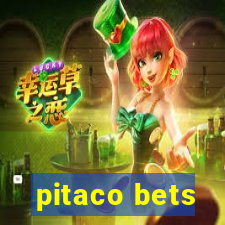 pitaco bets