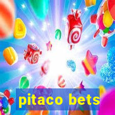 pitaco bets