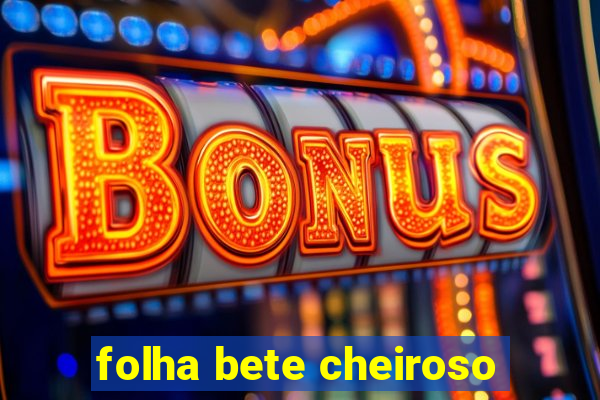 folha bete cheiroso