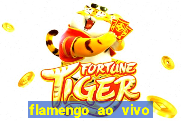 flamengo ao vivo hd play