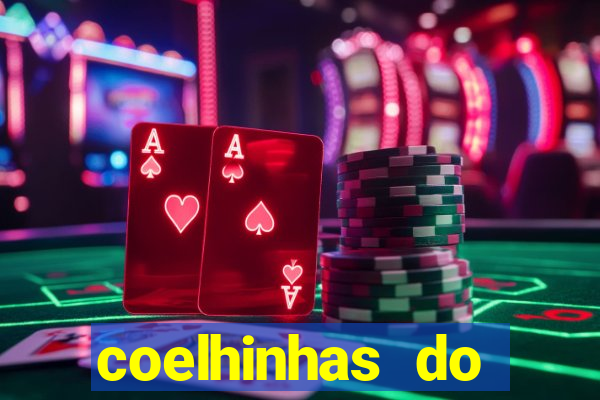 coelhinhas do brasil jp