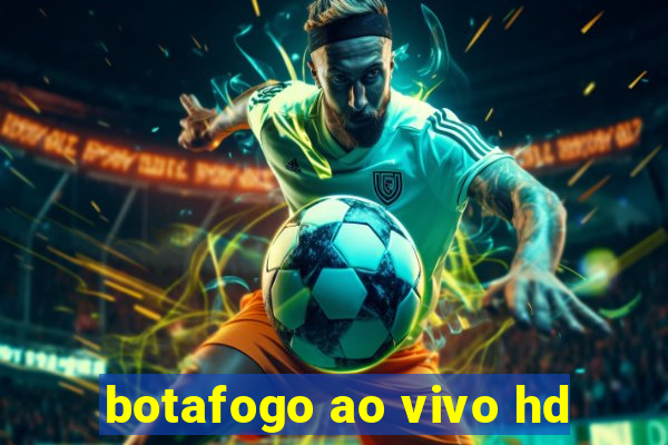 botafogo ao vivo hd