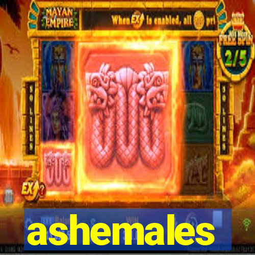 ashemales