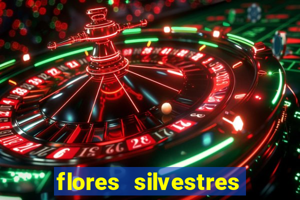 flores silvestres desbravadores desbravadores 25 flores silvestres e seus nomes