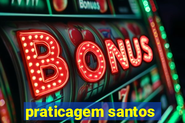 praticagem santos