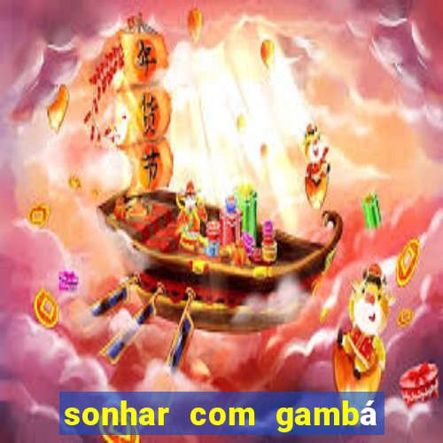 sonhar com gambá jogo do bicho