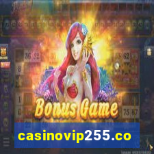 casinovip255.com