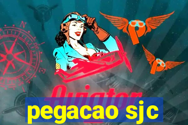 pegacao sjc