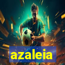 azaleia-br.com