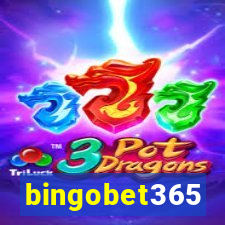 bingobet365