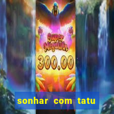 sonhar com tatu jogo do bicho