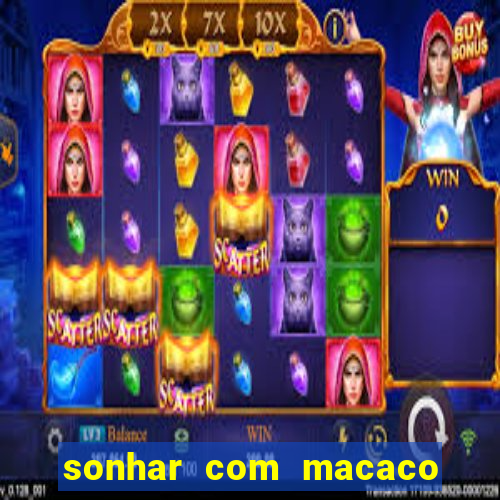 sonhar com macaco o que significa