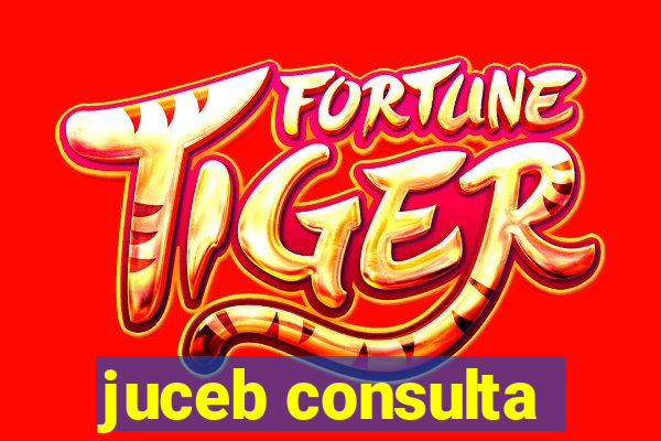 juceb consulta