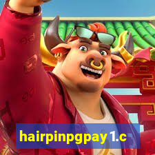 hairpinpgpay1.com