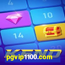 pgvip1100.com