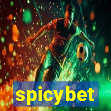 spicybet-2.com