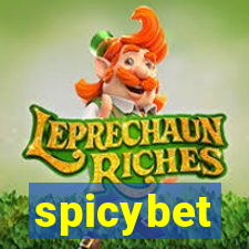 spicybet-3.com