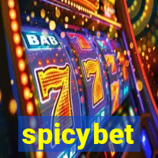 spicybet-4.com