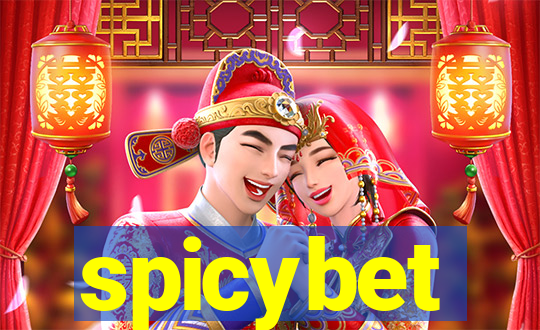 spicybet-4.com