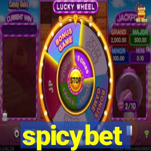 spicybet-4.com