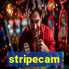 stripecam