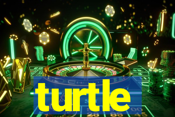 turtle-ty.com