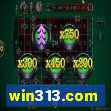 win313.com